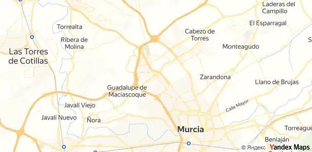 Garden of Storage room for sale in Pedanías Norte