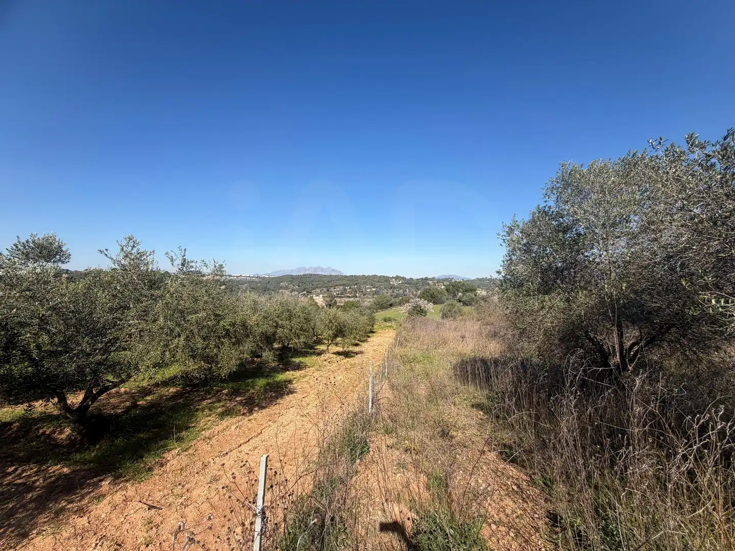 Rural land for sale in Castellví de Rosanes, imagen 7