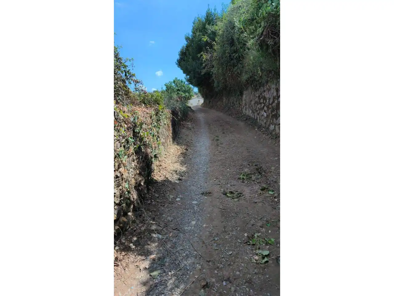 Land for sale in Calle Manuel León, Cortegana