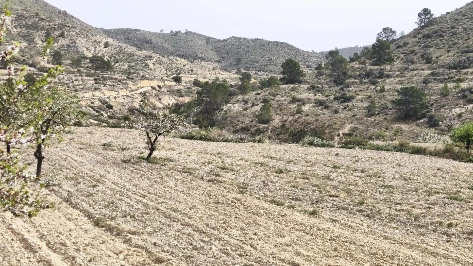 Finca rústica en venta en Aigües con Jardín privado