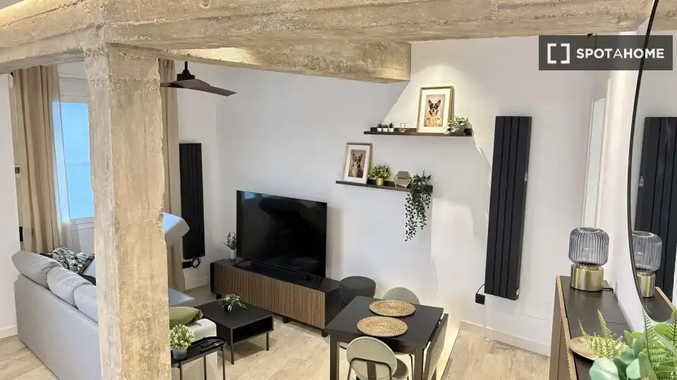 Sala de estar de Piso de alquiler en Madrid con Aire acondicionado, Calefacción y Amueblado