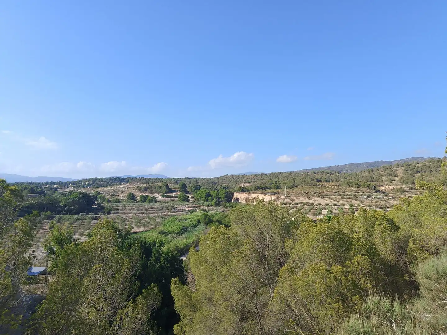 Terreno rustico in vendita a N/A, imagen 81