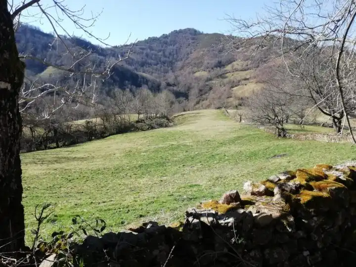 Country house zum Verkauf in Mieres (Asturias)