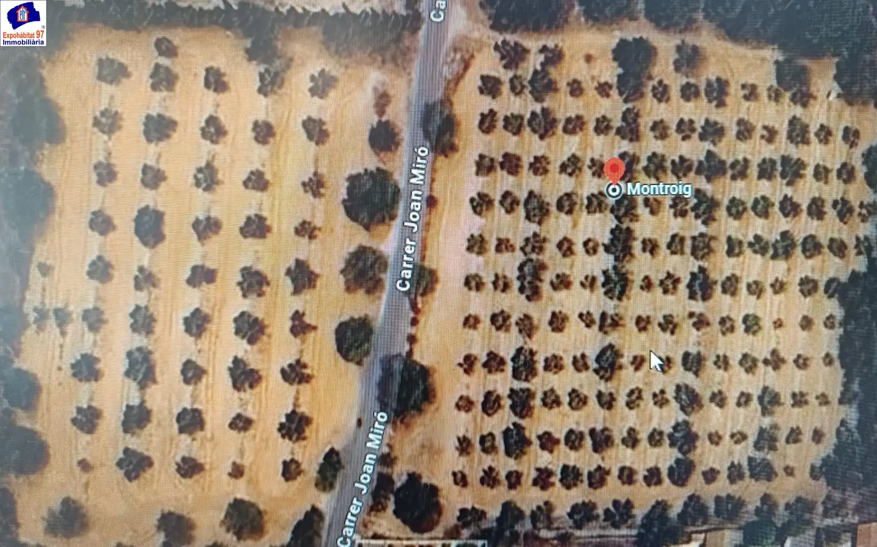 Lands and plots for sale in Carrer Partida Tarrès, imagen 9