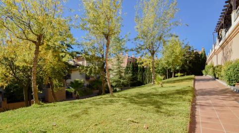 Foto 5 de Pis en venda a Paseo de Pedro Verde, San Francisco - Chorillo, Granada