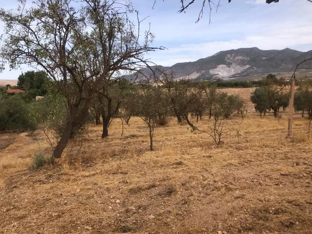 Rural land for sale in Dúrcal, imagen 5