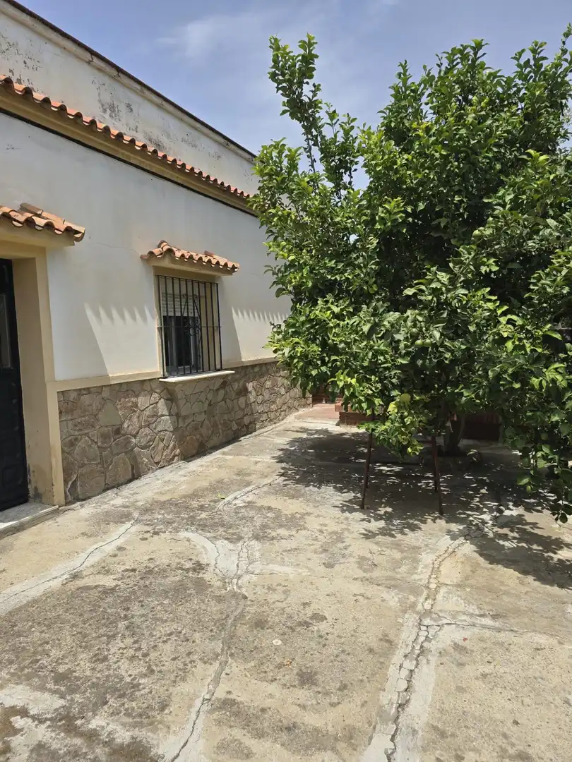 Vista exterior de Casa adosada en venta en Algeciras