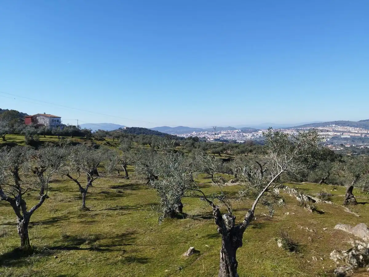 Finca rústica en venta en Plasencia con Terraza