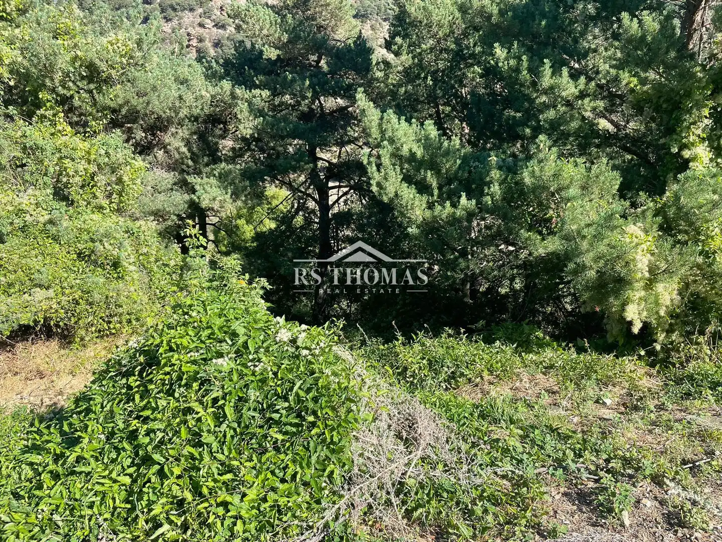 Rural land for sale in Carretera de la Peguera, imagen 7