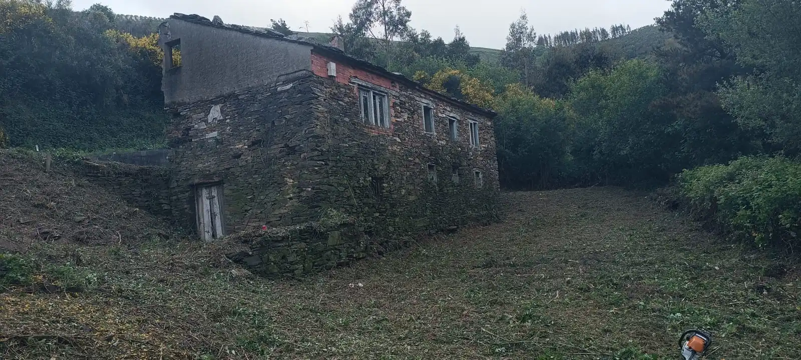 Vista exterior de Finca rústica en venta en Vegadeo