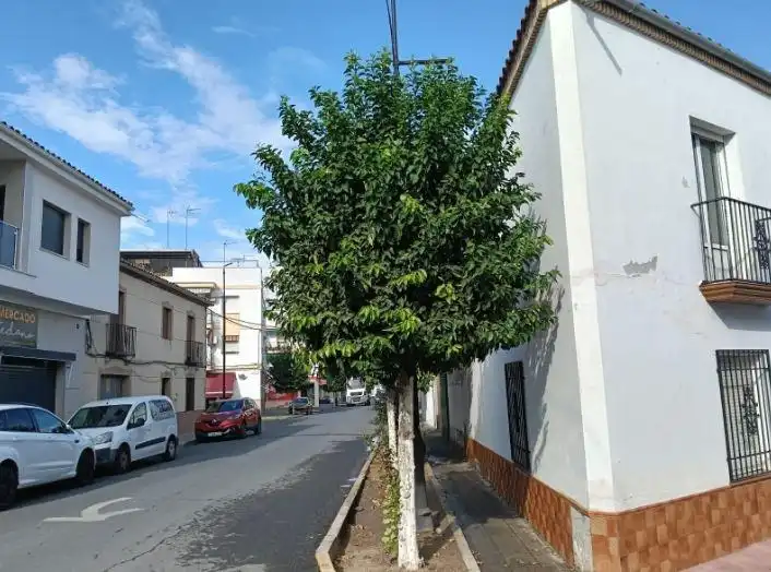 Exterior view of Flat for sale in Villa del Río
