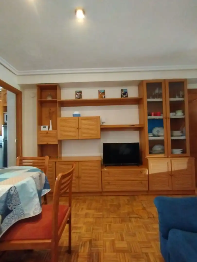 Sala d'estar de Pis de lloguer en Donostia - San Sebastián  amb Calefacció i Moblat
