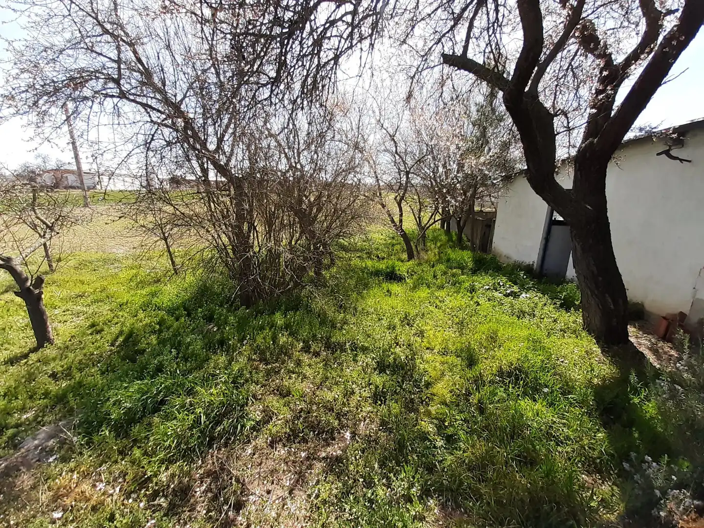 Casa o chalet en venta en Zamora Capital  con Calefacción y Trastero