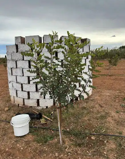 Casa rústica en venta en Onda, imagen 4