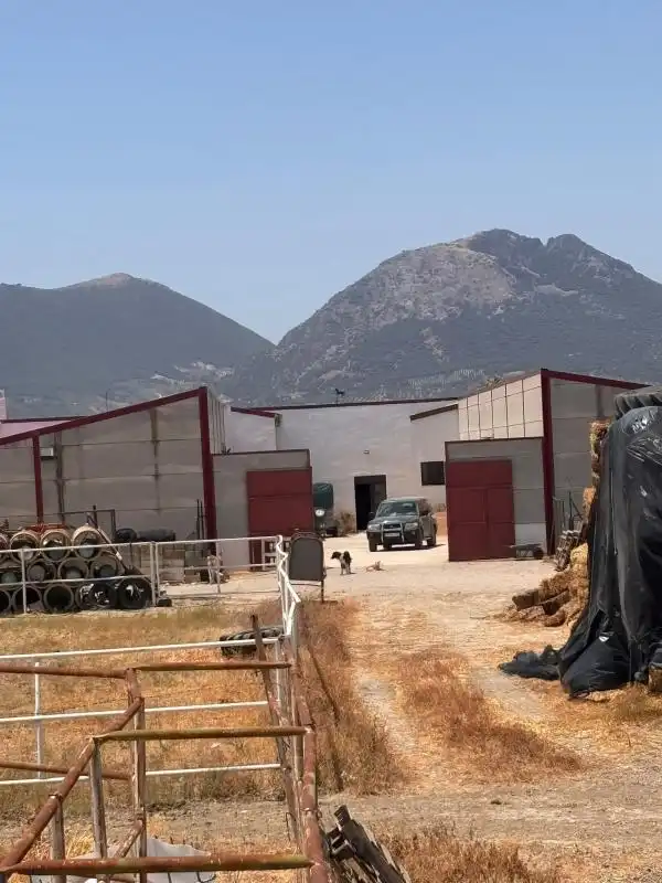 Vista exterior de Finca rústica en venda en El Saucejo amb Aire condicionat, Calefacció i Moblat