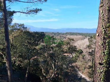 Terreni e lotti in vendita a Terrafortuna - Puig Ventós