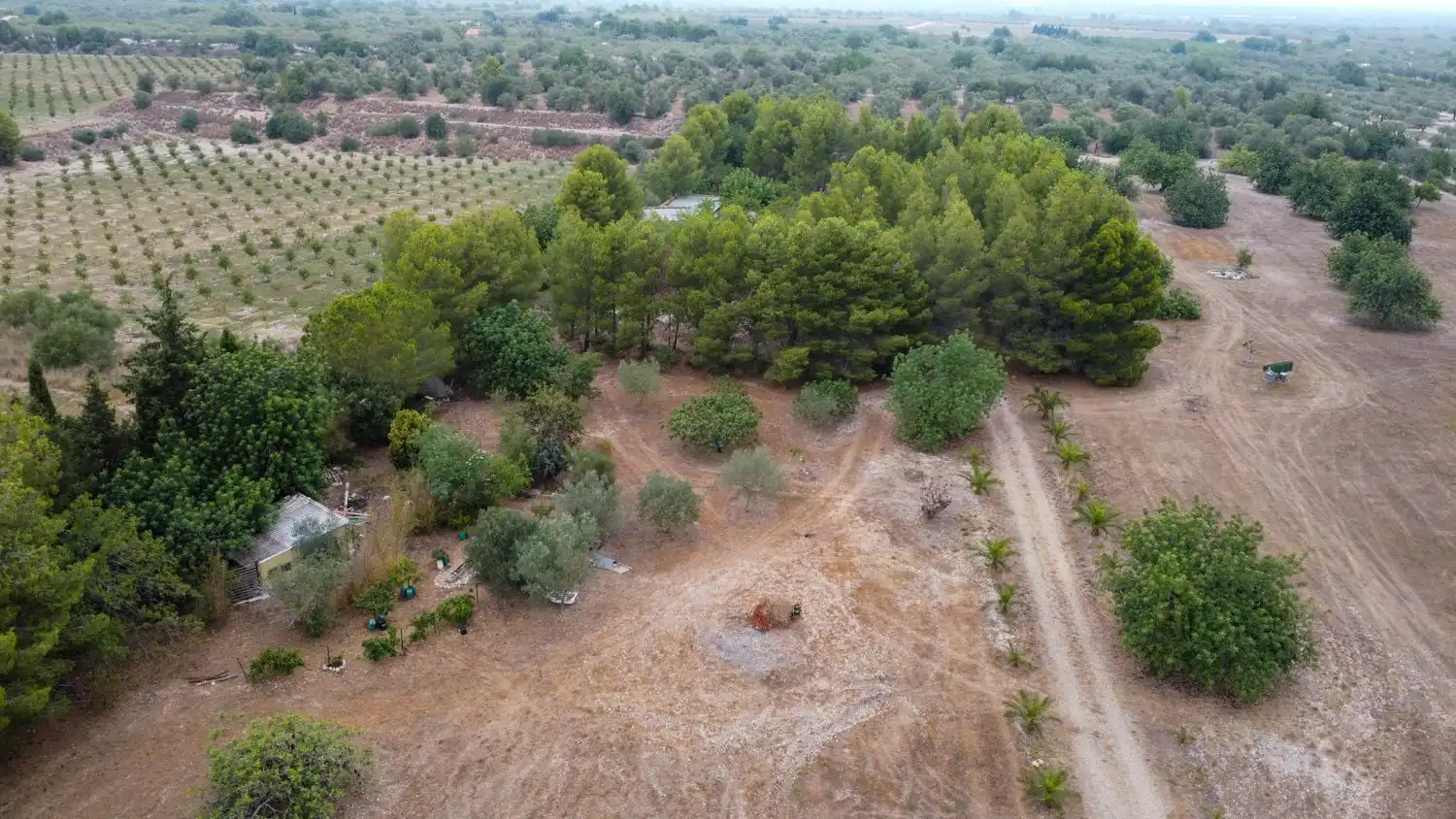 Terrain rustique à vendre à Roquetes, imagen 22
