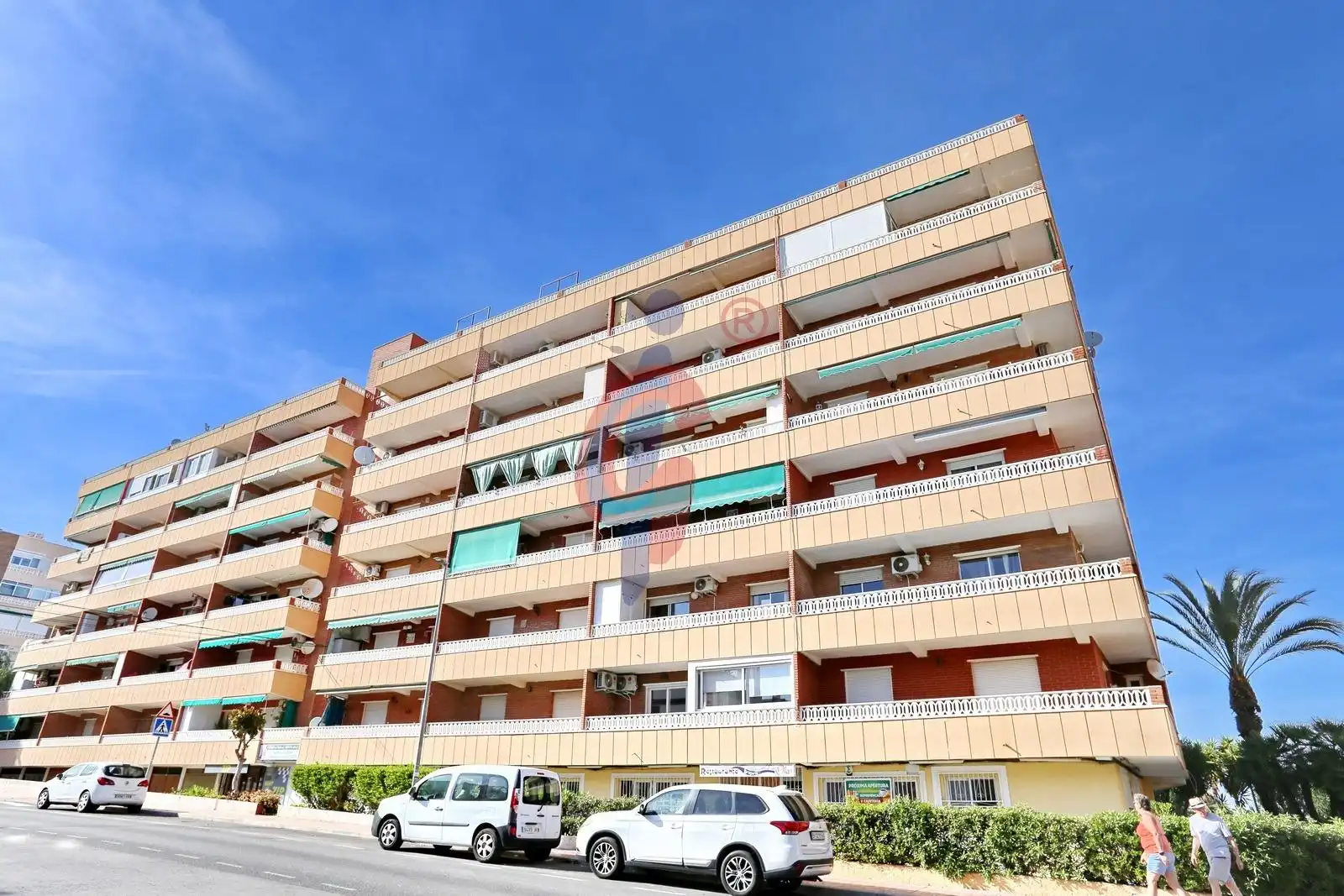 Vista exterior de Apartamento en venta en Torrevieja con Terraza y Amueblado