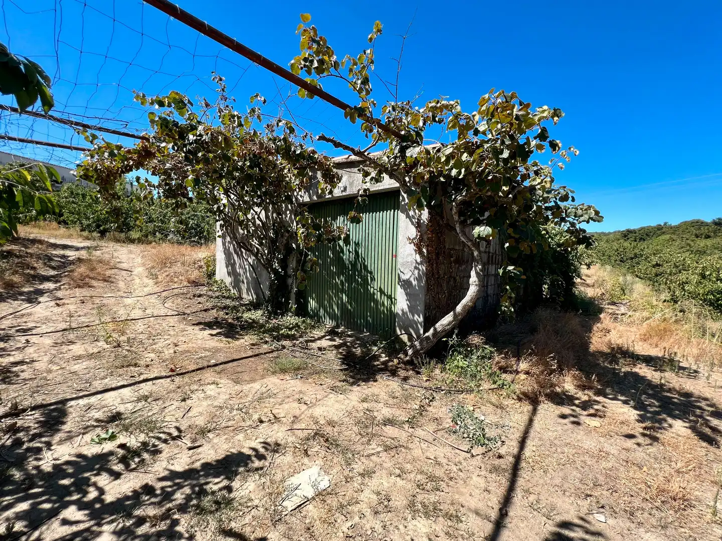 Terreni e lotti in vendita a Jaraíz de la Vera, imagen 4