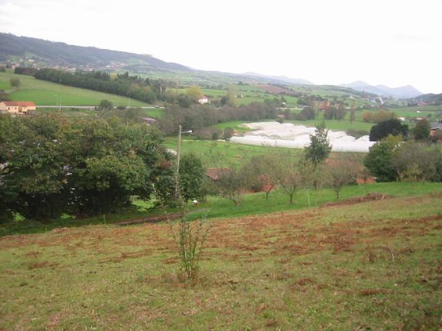 Terreno residencial en Venta en Carreño