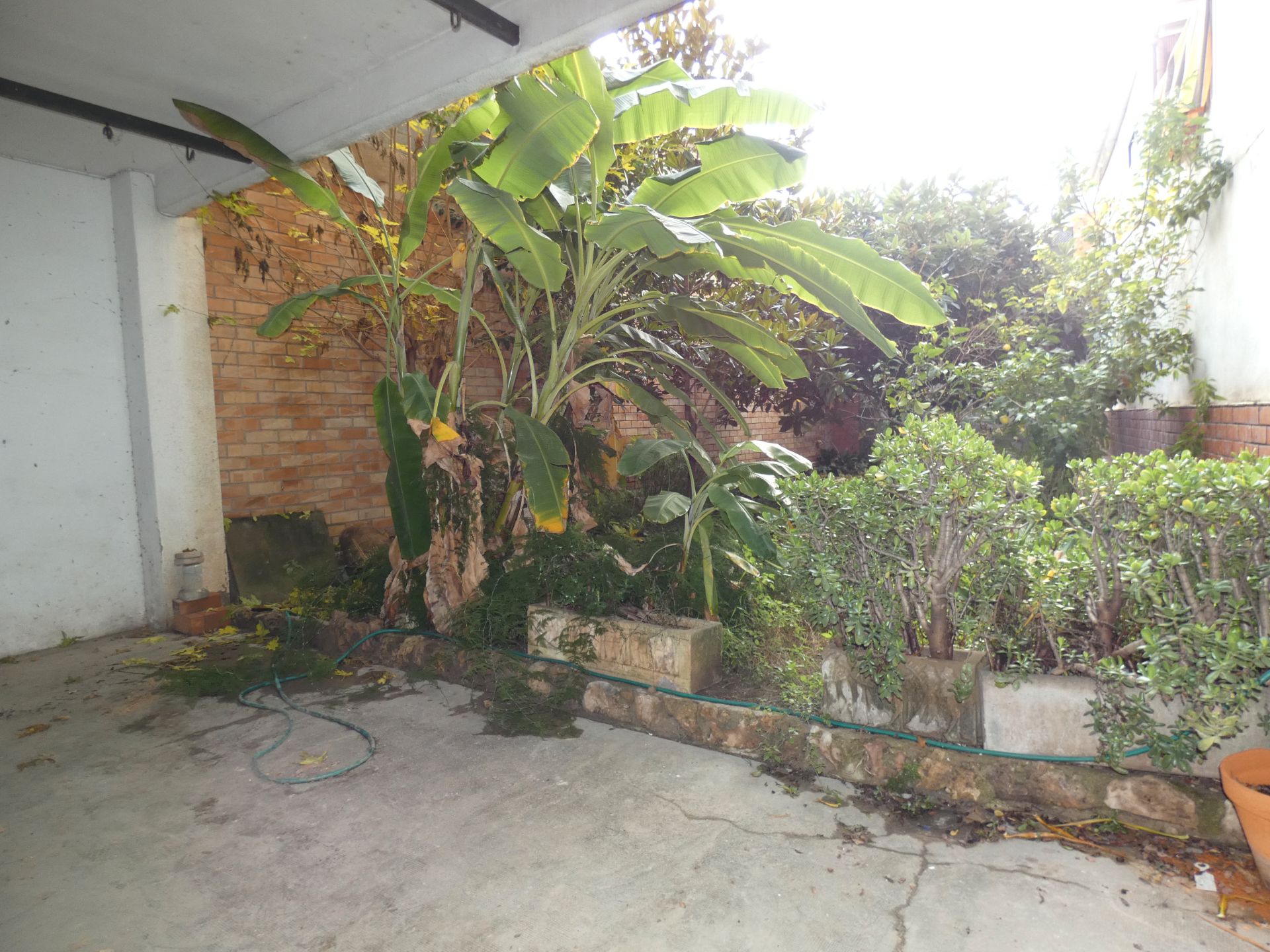 Jardí de Planta baixa en venda en Cornellà de Llobregat amb Terrassa