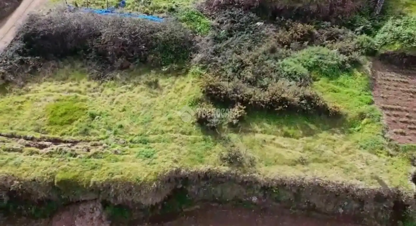 Terreny rústic en venda a Los Realejos pueblo, imagen 12