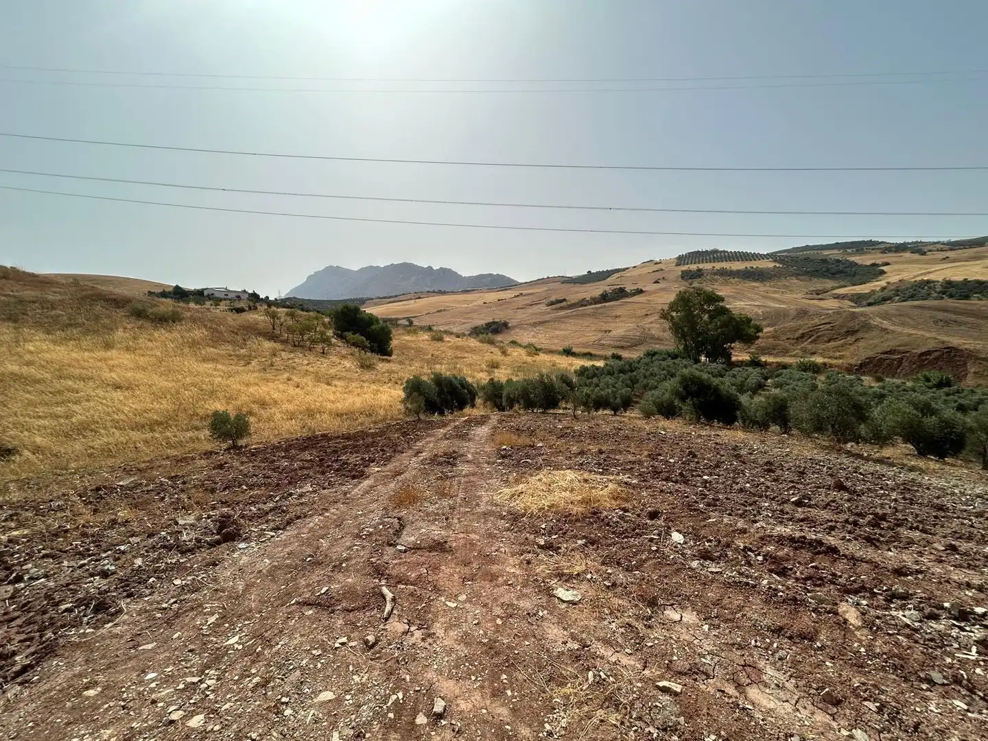 Terreni e lotti in vendita a Zona de la Vega, imagen 7