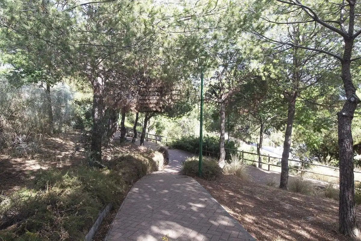 Adossat amb piscina en venda a de las Nieves, imagen 37