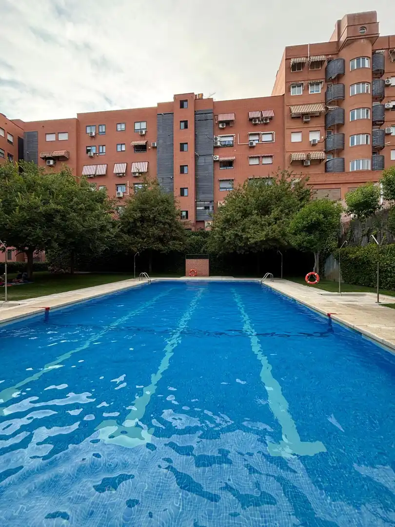 Piscina de Pis de lloguer en Móstoles amb Aire condicionat, Calefacció i Moblat