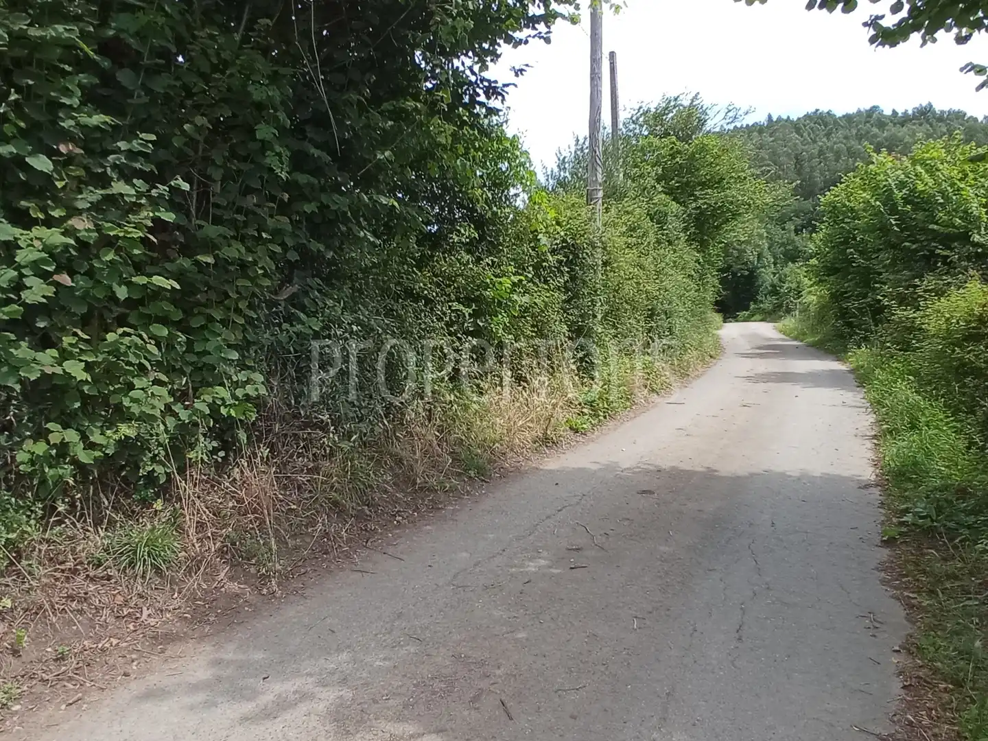 Lands and plots for sale in Samano, imagen 6