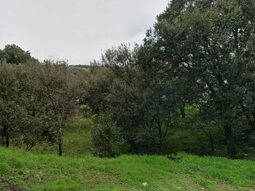 Terreno residencial en venta en Calle Calle de los Enebros