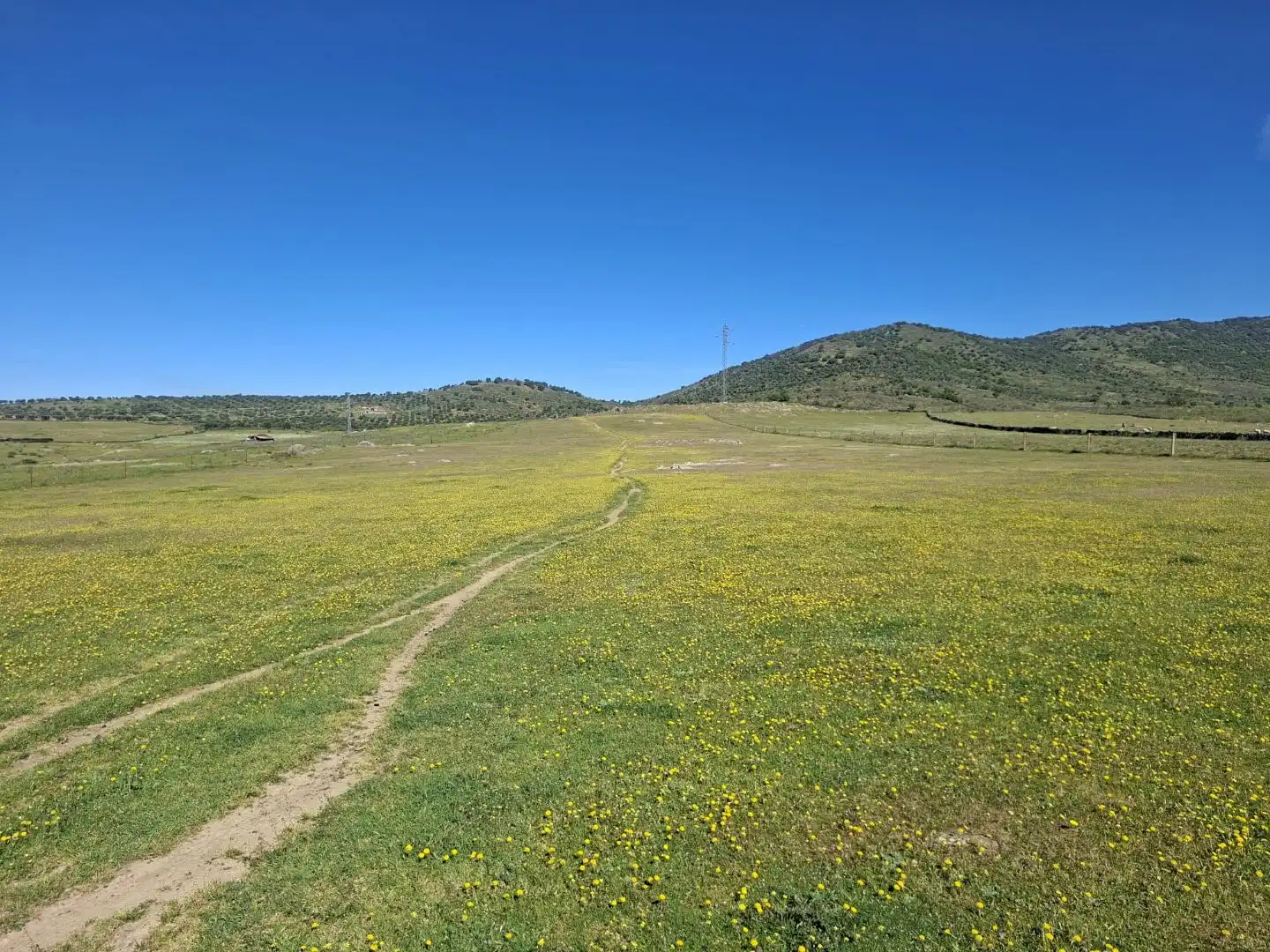 Grundstücke zum Verkauf in Zorita