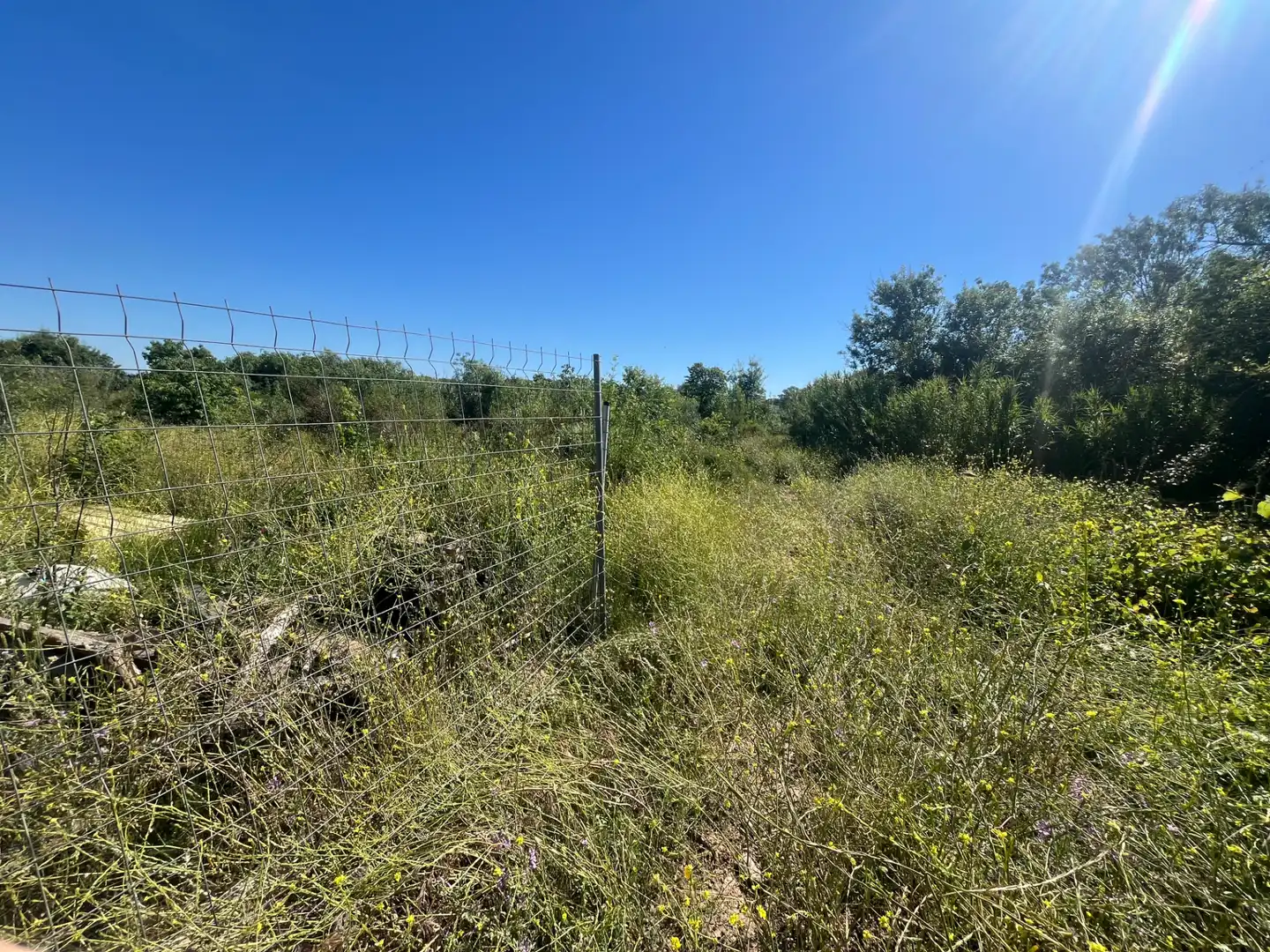 Land for sale in Constantí