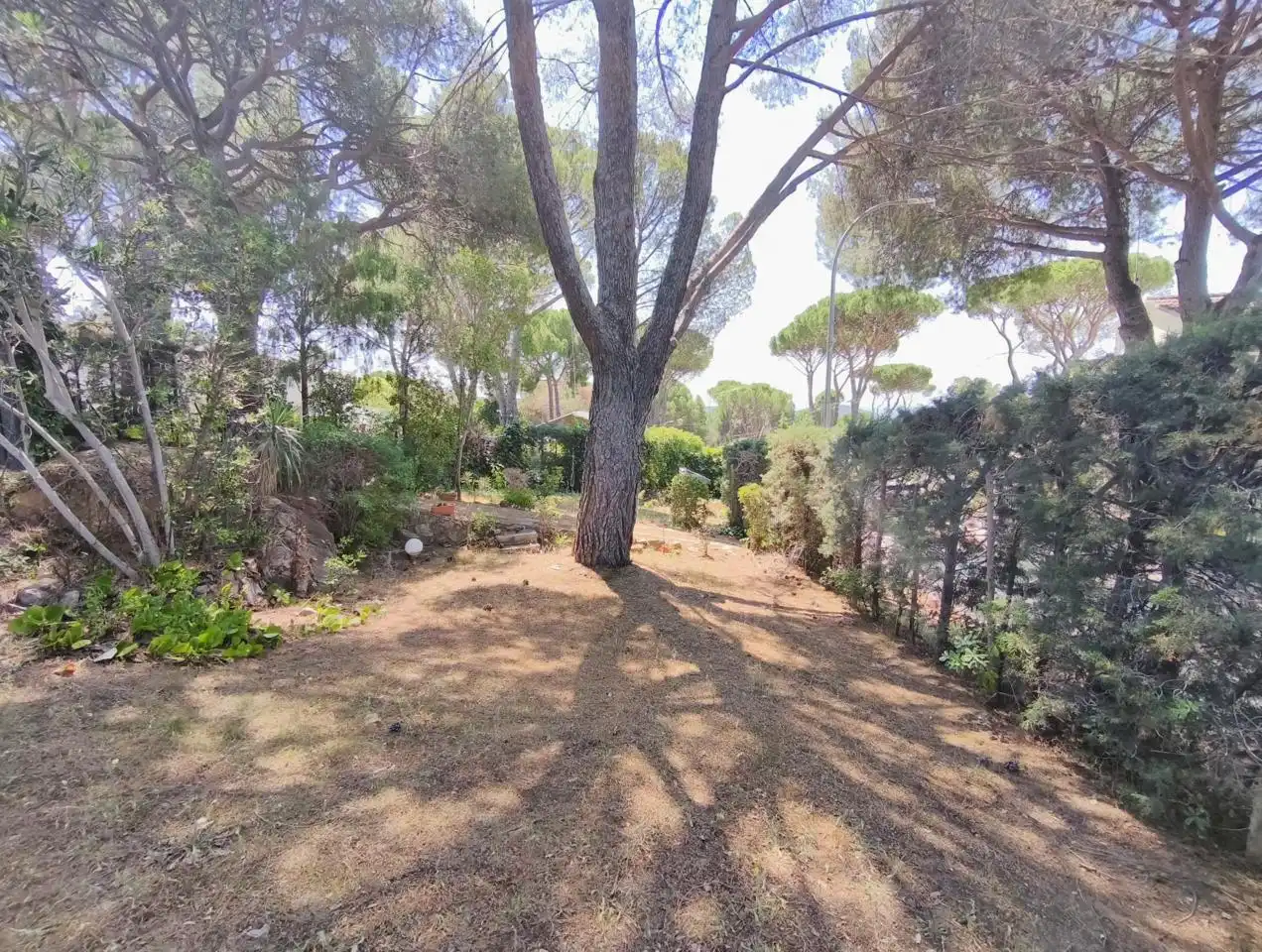 Jardí de Casa o xalet en venda en Villa del Prado amb Aire condicionat, Calefacció i Jardí privat
