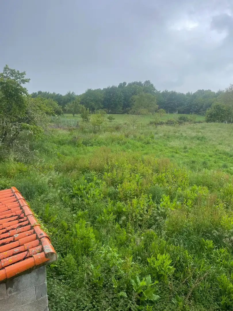 Casa o chalet en venta en Allariz con Calefacción, Jardín privado y Amueblado
