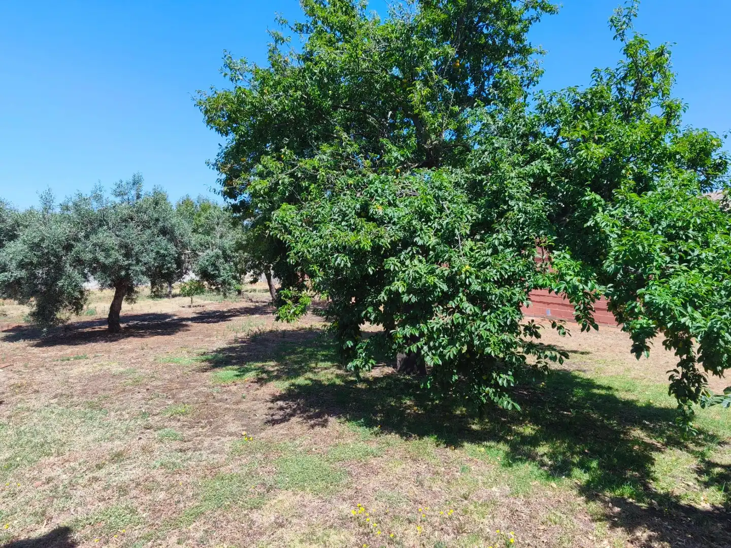 Chalet con piscina en venta en Los Franceses – La Vega, imagen 34