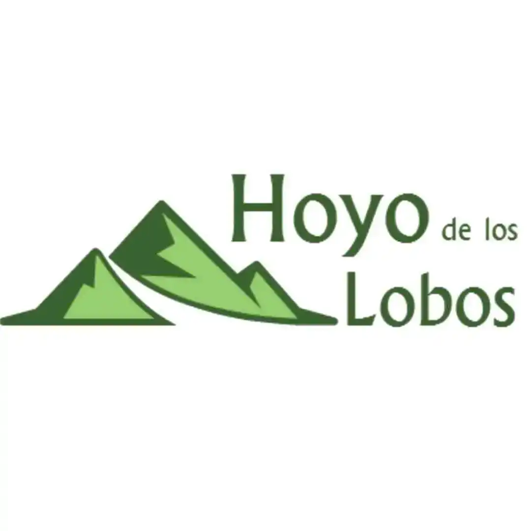 Casa o xalet en venda en Hoyocasero