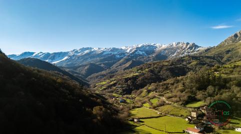 Foto 3 de Edifici en venda a Morcín - Vega Cardeo, Mo-1, Morcín, Asturias