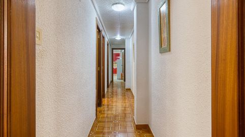Foto 3 de Piso en venta en Calle Teodoro Llorente, Pont Nou - Corazón de Jesús, Elche / Elx