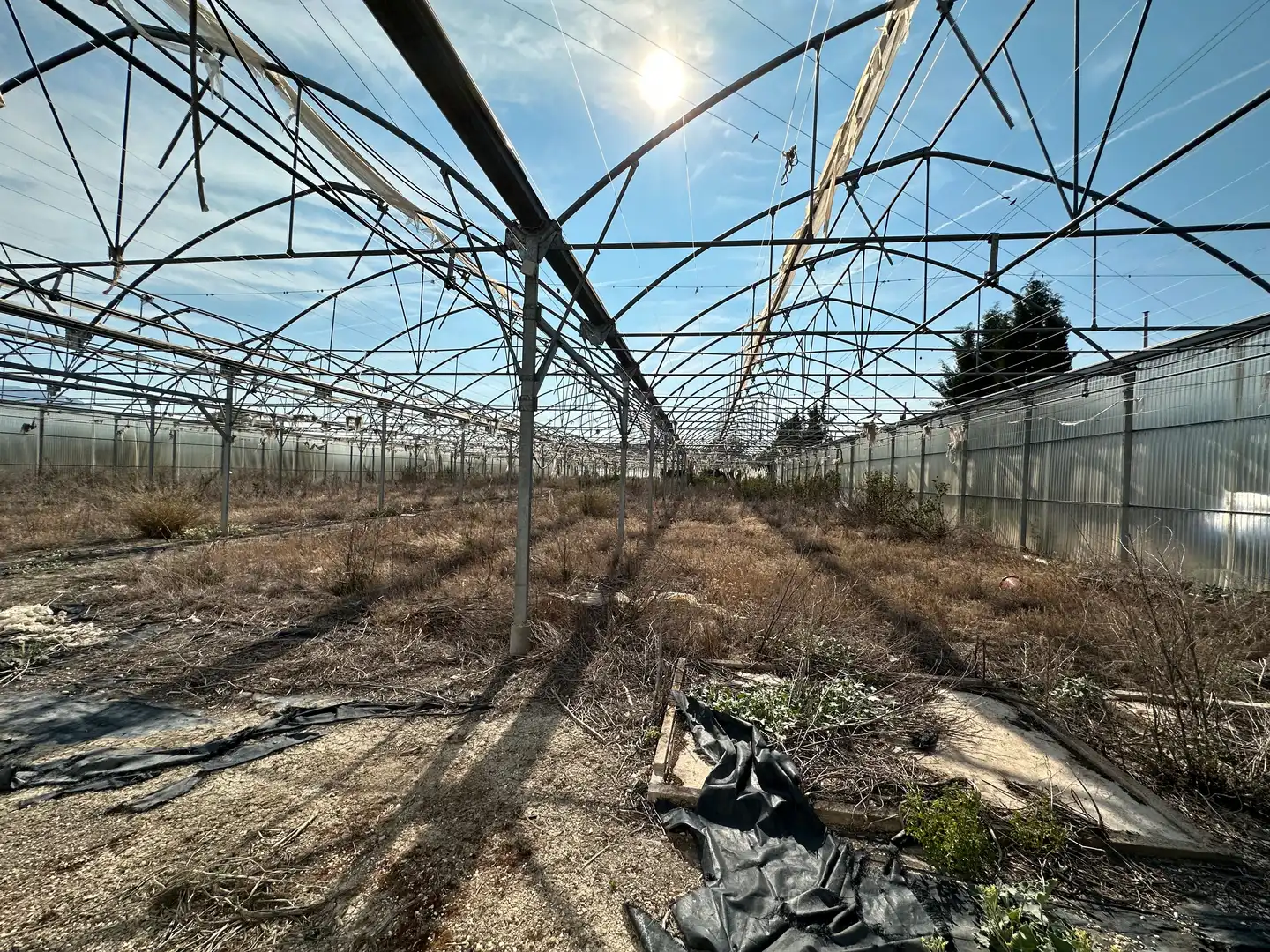 Terrenos y solares en venta en Úbeda, imagen 8