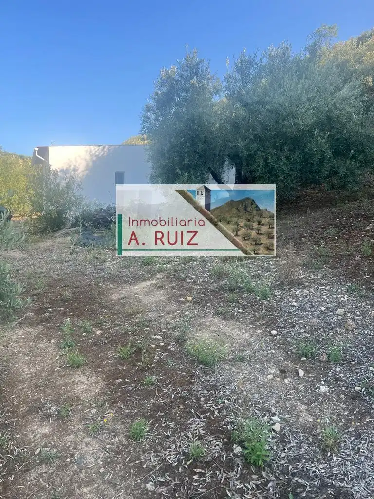 Terreny rústic en venda a Priego de Córdoba