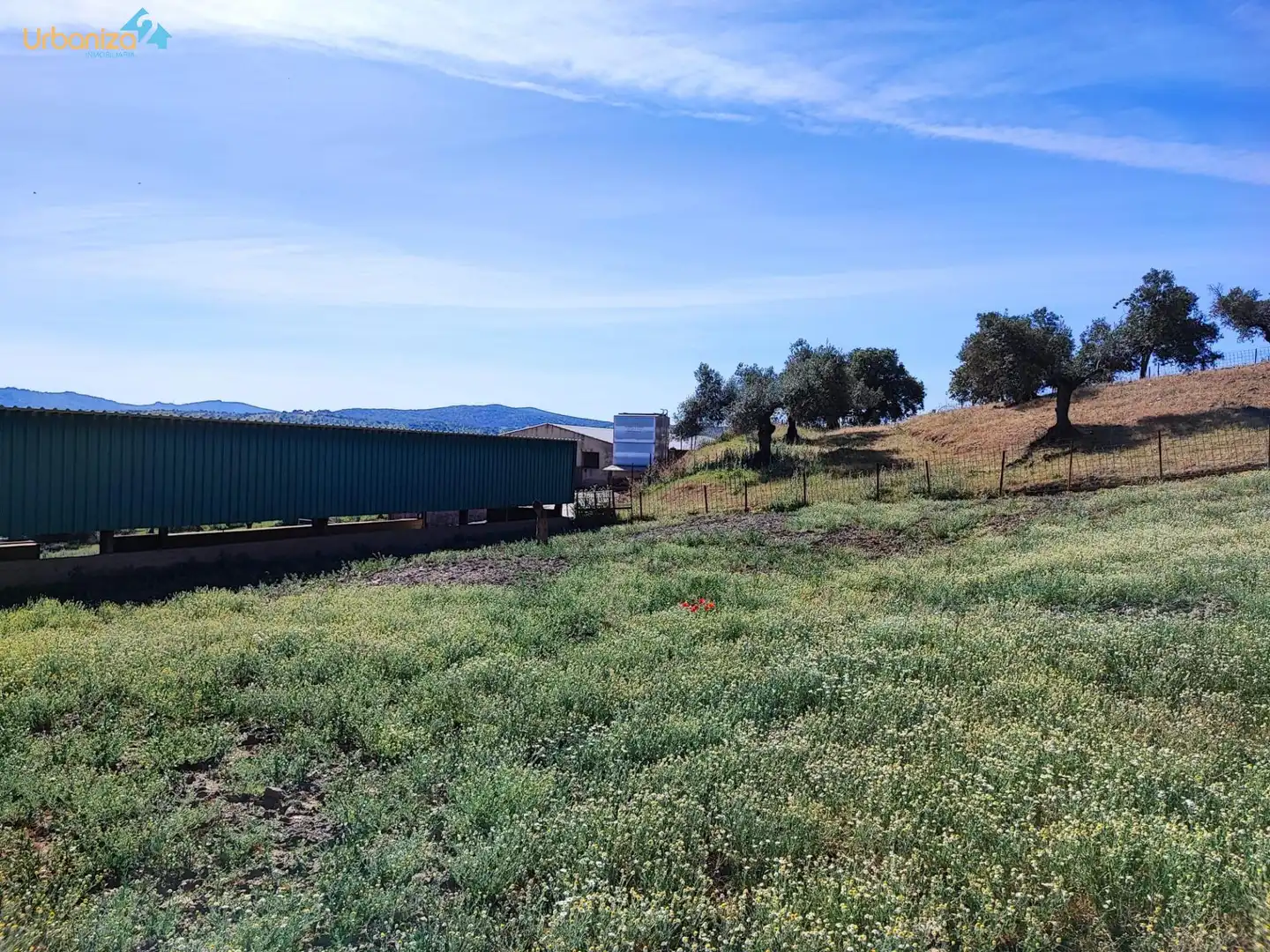 Land for sale in Salvaleón