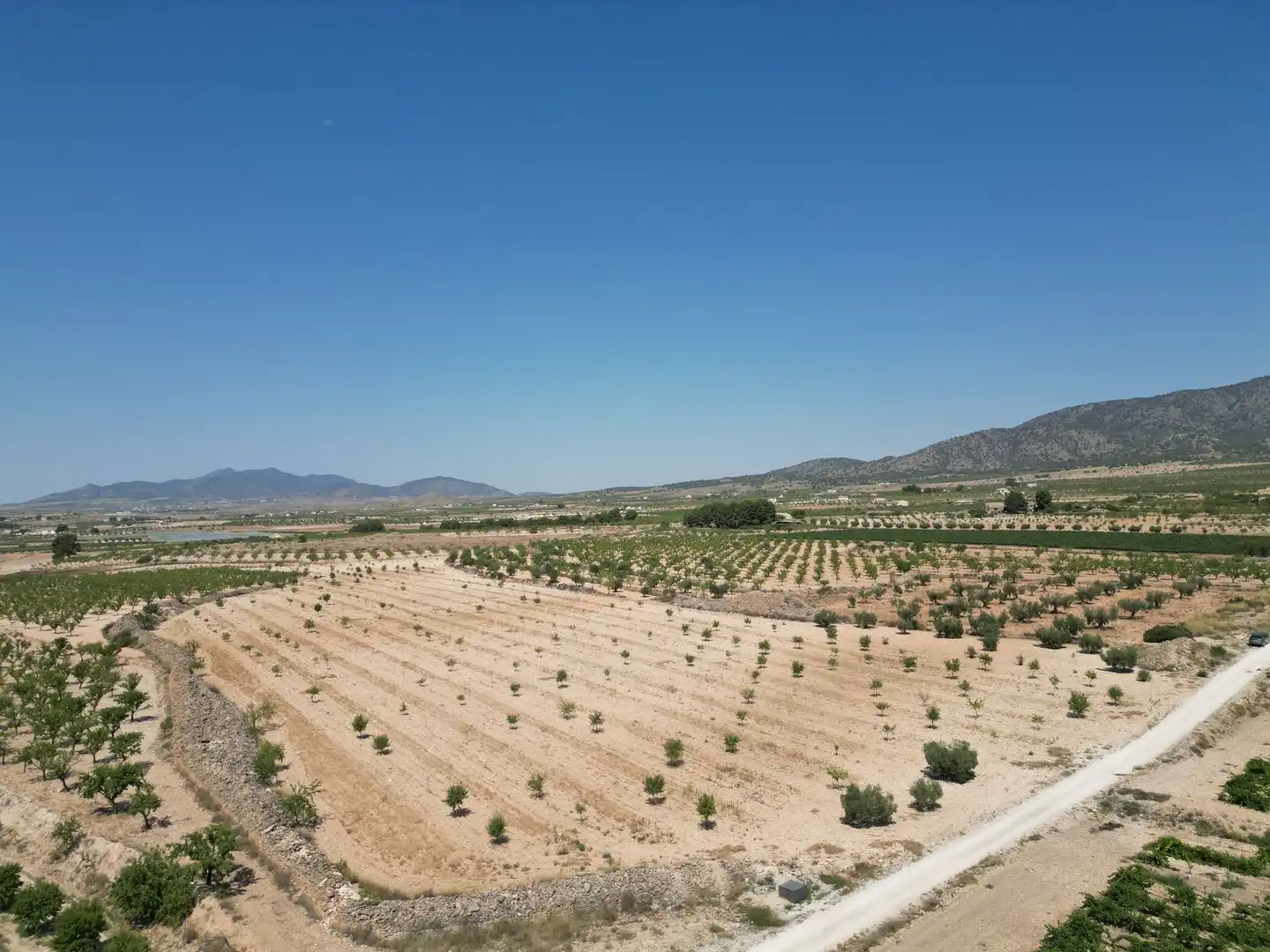 Terreno residencial en venta en El Pinós / Pinoso, imagen 4