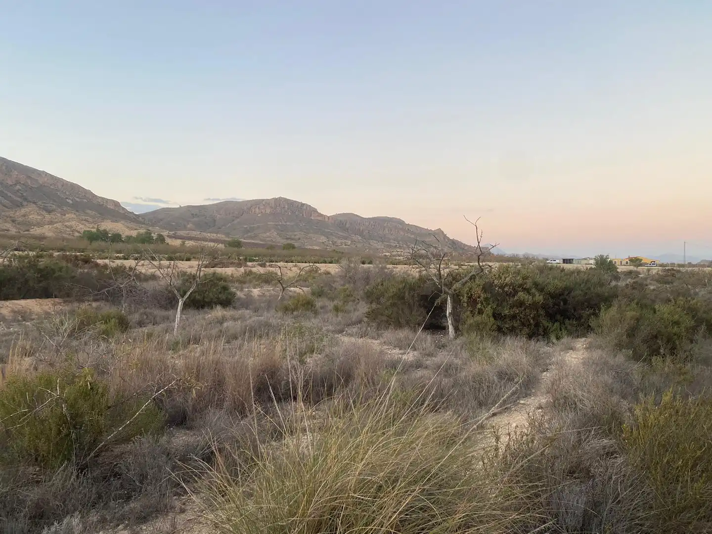 Land for sale in Camí de l'Alcoraia, 21, Cañada del Fenollar