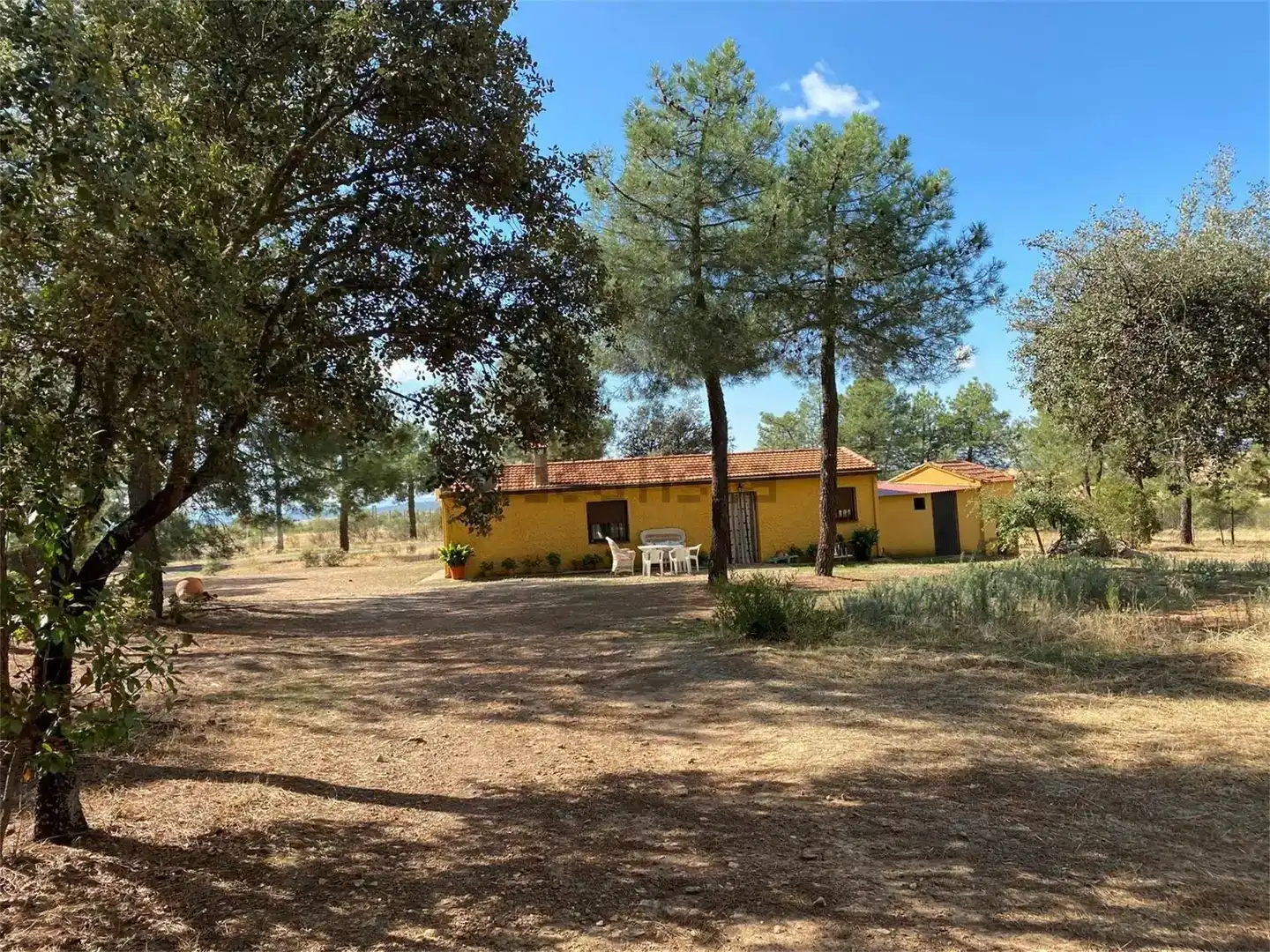 Garden of Land for sale in Alía