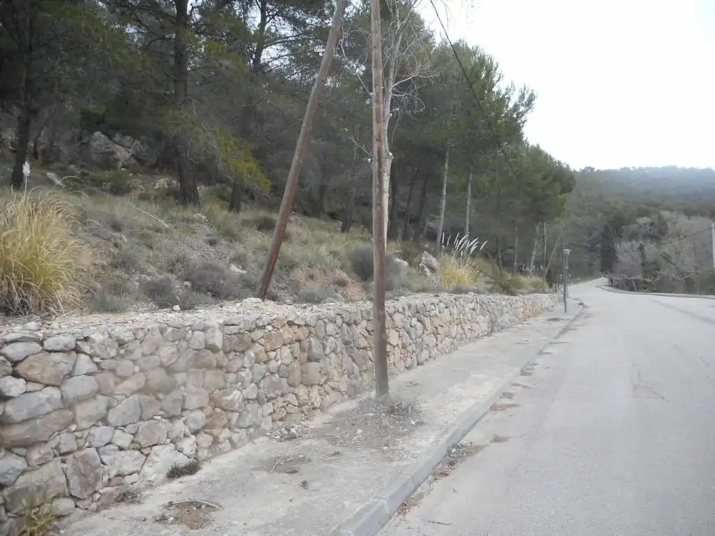 Terreny rústic en venda a ALDEA DE VALLFLOR, imagen 4