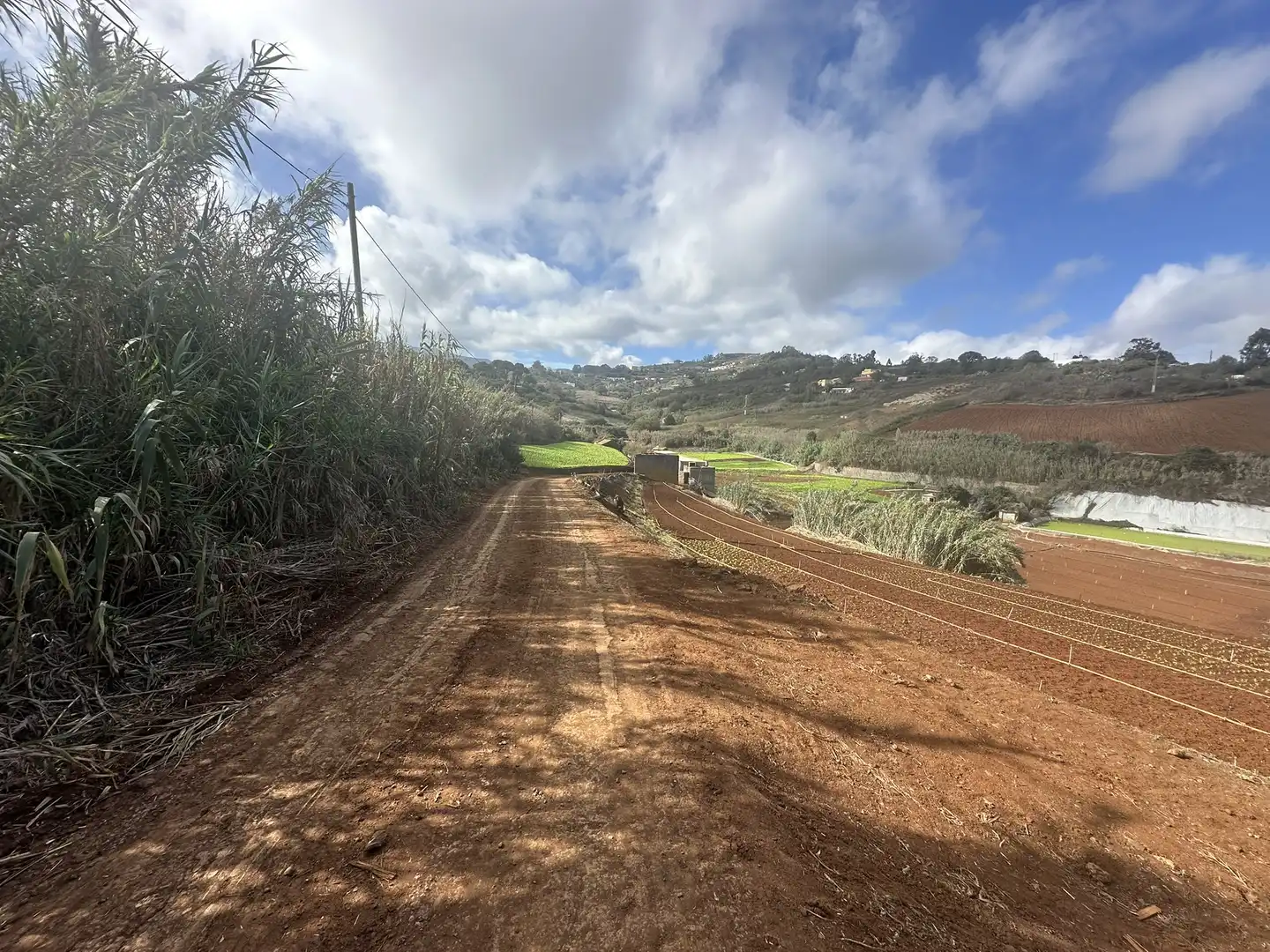 Finca rústica en venta en Santa María de Guía de Gran Canaria