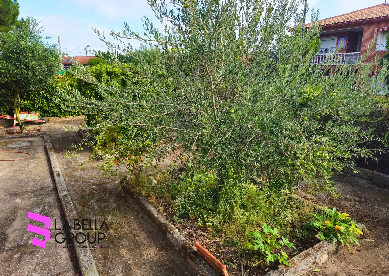 Haus mit Garten zum Verkauf in Calle Real, imagen 4