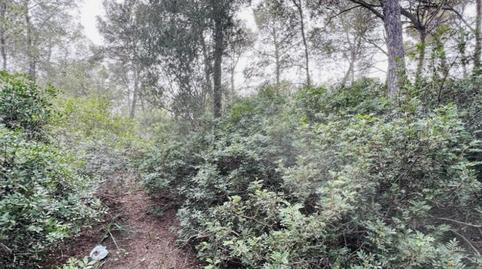 Photo 3 of Residential for sale in Portals Nous, Illes Balears