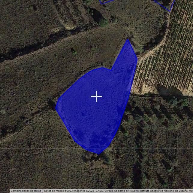 Land for sale in Alcanadre